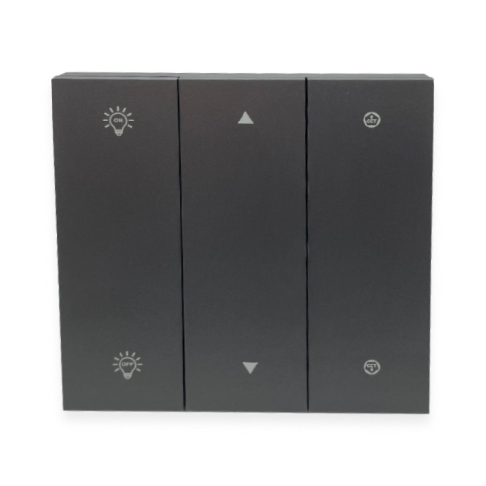 2 Channel Intelligent DMX/RDM Wall Switch for Tuneable White